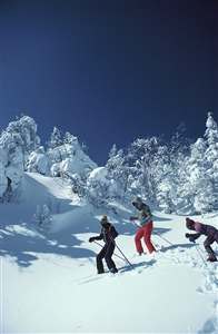ortho k lenses can help you enjoy a Christmas skiing break