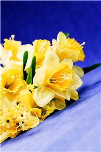 Hay fever symptom reduction tips for contact lens wearers 