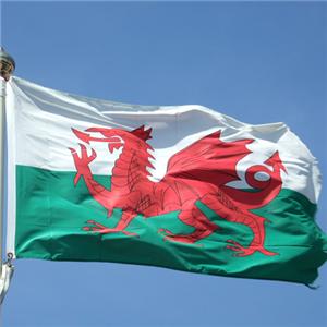 Welsh eye patients hurt by wait time targets 