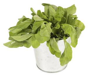 Eat spinach to avoid dry eyes 